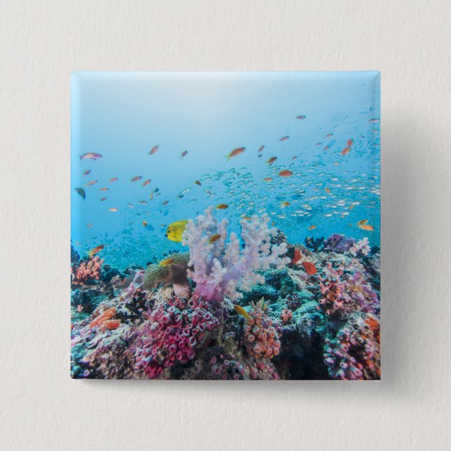 Scuba Diving With Colourful Reef And Coral 15 Cm Square Badge (Front)