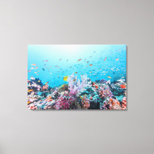 Scuba Diving With Colourful Reef And Coral Canvas Print