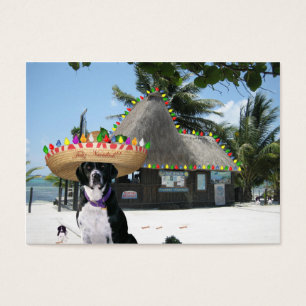 Scuba Dog "Diversity" Trade Card