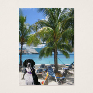 Scuba Dog "Imaginative" Trading Card