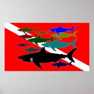 Scuba / Sharks Poster