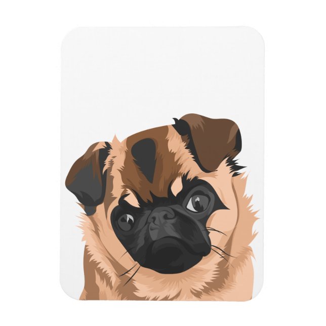 Scully Magnet (Vertical)