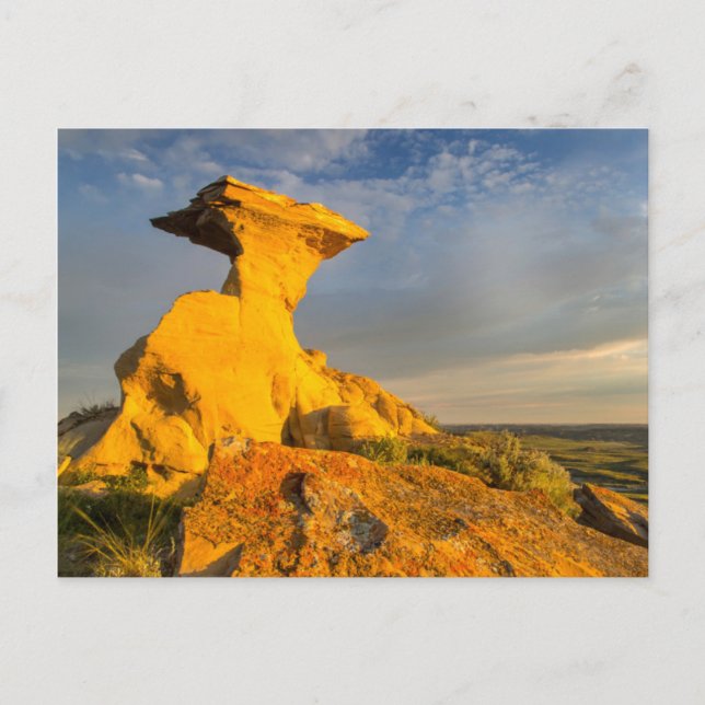 Sculpted Badlands Formation In Short Grass Postcard (Front)