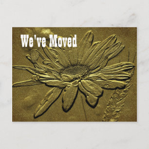 Sculpted Daisy New Address Floral Postcard