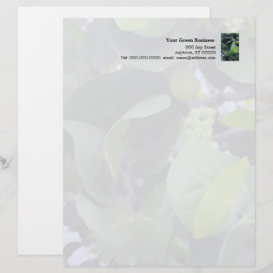 Sculptural Leaves letterhead