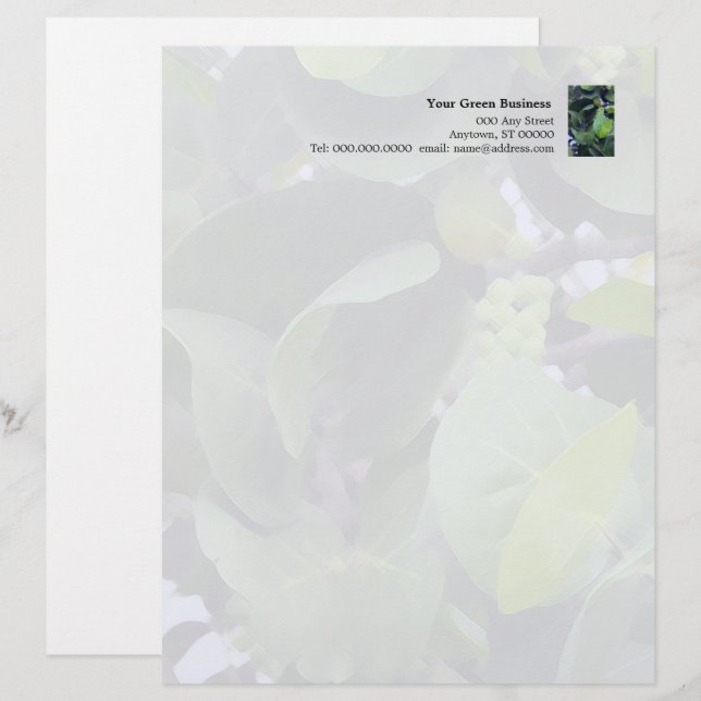 Sculptural Leaves letterhead (Front/Back)