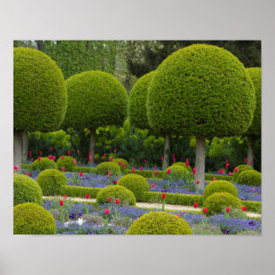 Sculptured Trees Poster