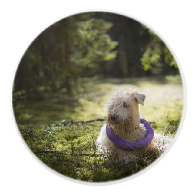 scwt laying in woods ceramic knob (Front)