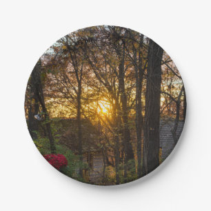 Sdc Woods Sunset Paper Plate