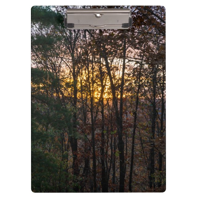 SDC Woody Sunset Clipboard (Front)