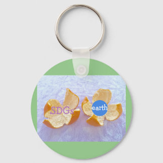 SDGs Global Environmental Nature Key Ring