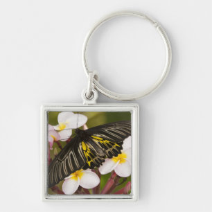 SE Asia, Thailand, Khon Kaen Key Ring