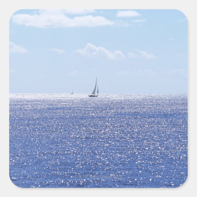 Sea 6 square sticker (Front)