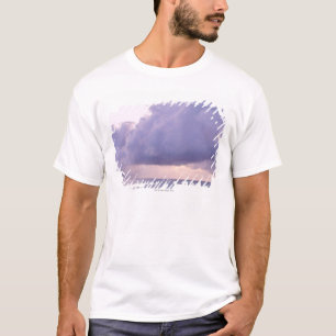Sea 9 T-Shirt
