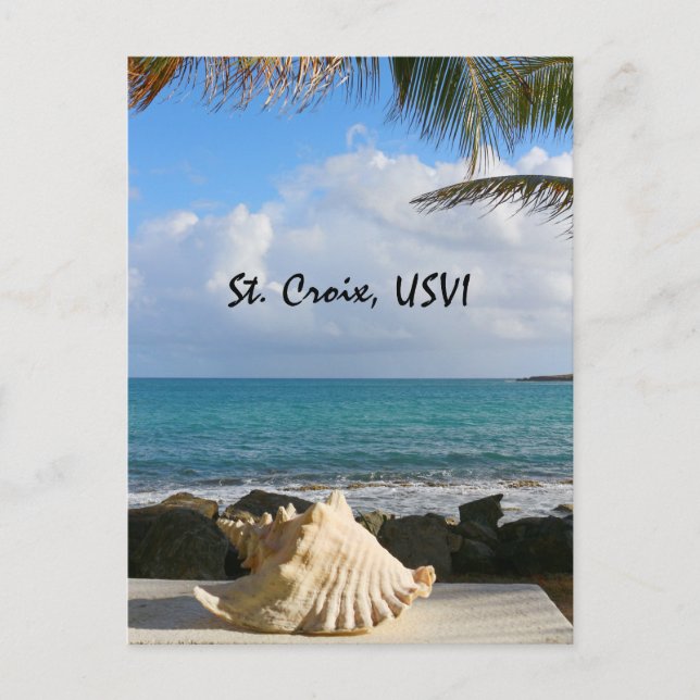 Sea and Sea Shell Postcard (Front)
