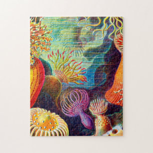 Sea Anemone - Ernst Haeckel Jigsaw Puzzle