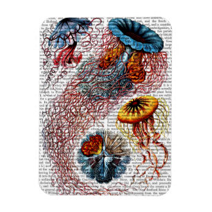 Sea Anemone Magnet