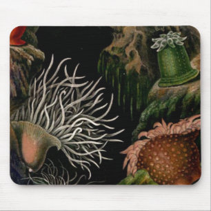 Sea Anemone Nautical SeaLife Mousepad Desk/Office