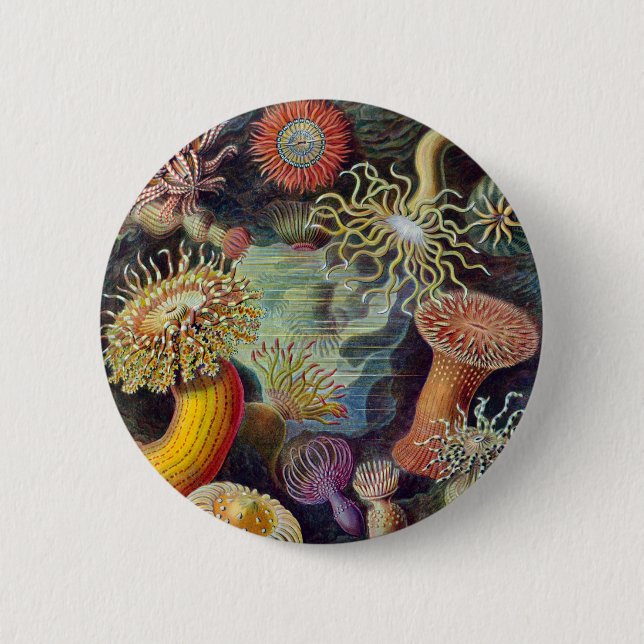 Sea Anemone Scientific Nature Ocean 6 Cm Round Badge (Front)