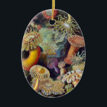Sea Anemone Scientific Nature Ocean Ceramic Tree Decoration<br><div class="desc">Vintage sea anemone scientific print - This print is of Filicinae (Ferns), by Ernst Haeckel from a 1904 antique scientific book. The gift is based on the 49th plate from Ernst Haeckel's Kunstformen der Natur (Art Forms of Nature) from 1904, showing various sea anemones classified as Actiniae. Sea anemones are...</div>
