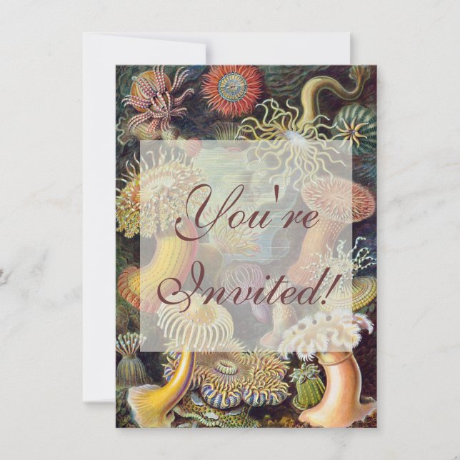Sea Anemone Scientific Nature Ocean Invitation (Front)