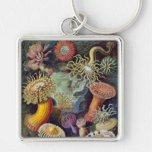 Sea Anemone Scientific Nature Ocean Key Ring