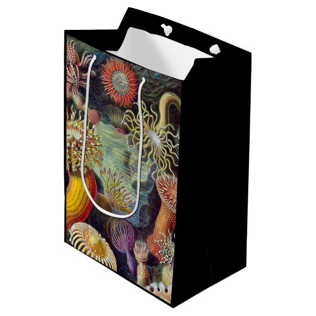 Sea Anemone Scientific Nature Ocean Medium Gift Bag (Front Angled)