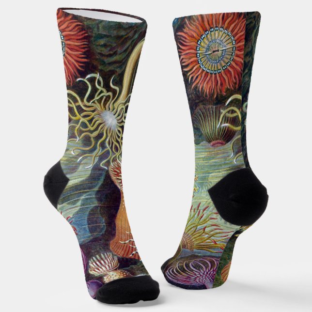 Sea Anemone Scientific Nature Ocean Socks (Angled)