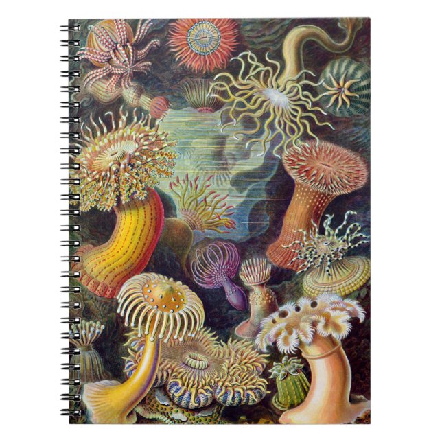 Sea Anemone Scientific Nature Ocean Spiral Notebook (Front)