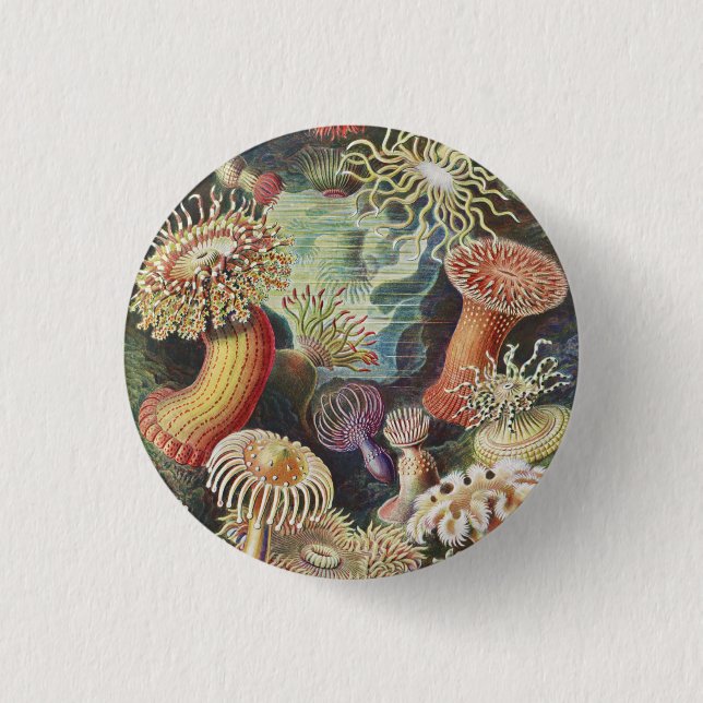 Sea Anemones, Actiniae Seeanemonen Ernst Haeckel 3 Cm Round Badge (Front)