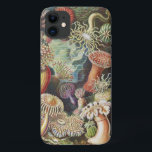Sea Anemones, Actiniae Seeanemonen Ernst Haeckel Case-Mate iPhone Case<br><div class="desc">Sea Anemones,  Actiniae Seeanemonen Ernst Haeckel Phone Case</div>