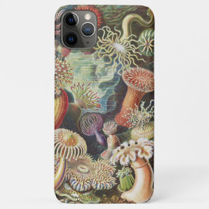 Sea Anemones, Actiniae Seeanemonen Ernst Haeckel Case-Mate iPhone Case