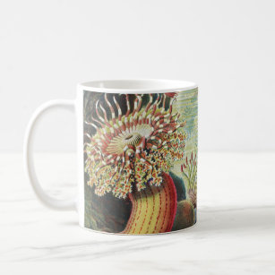 Sea Anemones, Actiniae Seeanemonen Ernst Haeckel Coffee Mug