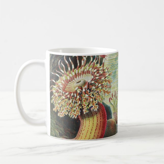 Sea Anemones, Actiniae Seeanemonen Ernst Haeckel Coffee Mug (Left)