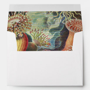 Sea Anemones, Actiniae Seeanemonen Ernst Haeckel Envelope