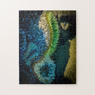 Sea anemones at Cox Bay, Tofino, BC (Canada) Jigsaw Puzzle