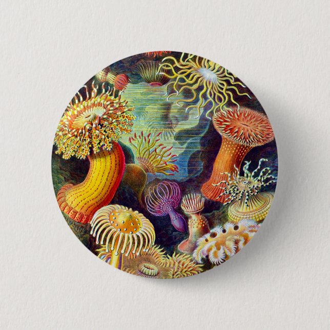 Sea Anemones Ernst Haeckel Fine Art 6 Cm Round Badge (Front)