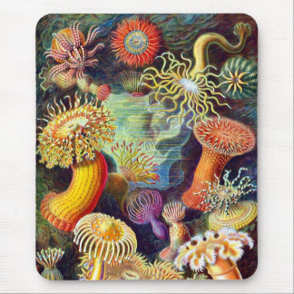 Sea Anemones Ernst Haeckel Fine Art Mouse Pad