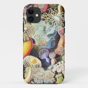 Sea anemones illustration by Ernst Haeckel Case-Mate iPhone Case
