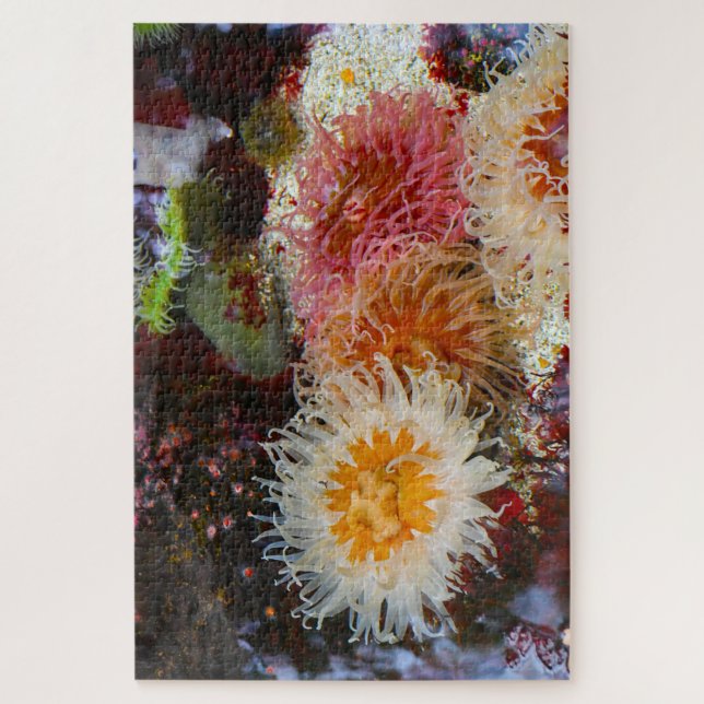 Sea Anemones. Jigsaw Puzzle (Vertical)