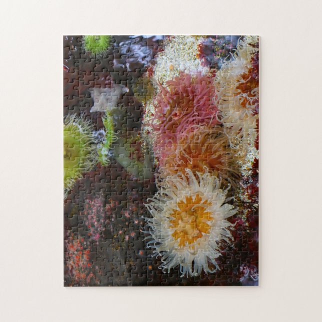 Sea Anemones. Jigsaw Puzzle (Vertical)