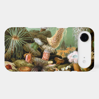 Sea Anemones Marine Life, Vintage Ocean Animals