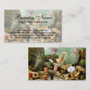 Sea Anemones Marine Life, Vintage Ocean Animals Business Card