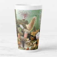 Sea Anemones Marine Life, Vintage Ocean Animals