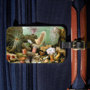 Sea Anemones Marine Life, Vintage Ocean Animals Luggage Tag