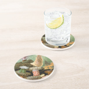 Sea Anemones, Vintage Marine Life Ocean Animals Coaster