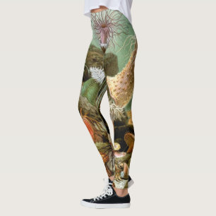 Sea Anemones, Vintage Marine Life Ocean Animals Leggings