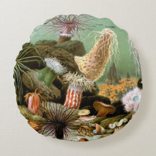 Sea Anemones, Vintage Marine Life Ocean Animals Round Cushion