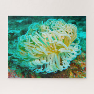 Sea Anemonies Jigsaw Puzzle