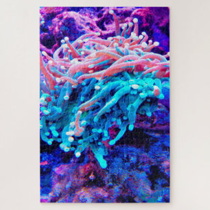 Sea Anemonies Jigsaw Puzzle